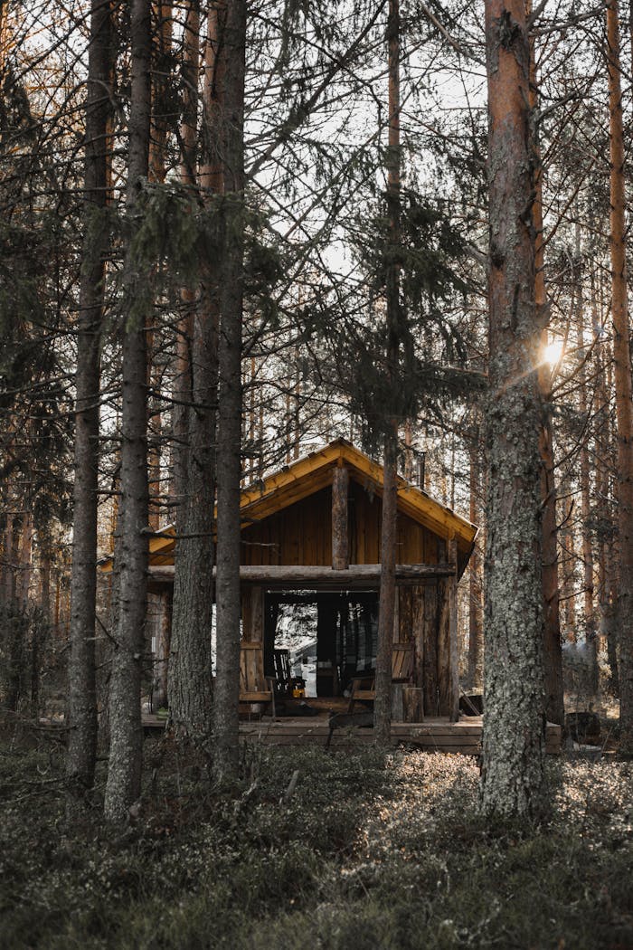 Tranquil scene of a rustic wooden cabin surrounded by a serene forest.